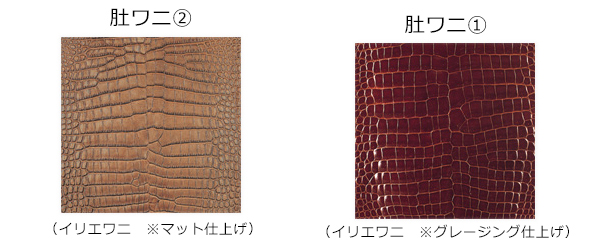 ワニ革の豆知識 ワニ革の種類と見分け方 バッグ カバンのカワノジャパン Kawano Japan